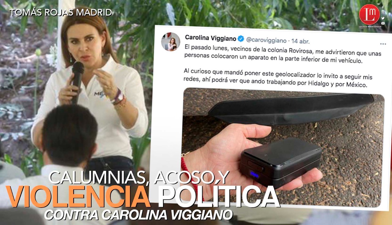 CALUMNIAS, ACOSO Y VIOLENCIA POLÍTICA CONTRA CAROLINA VIGGIANO