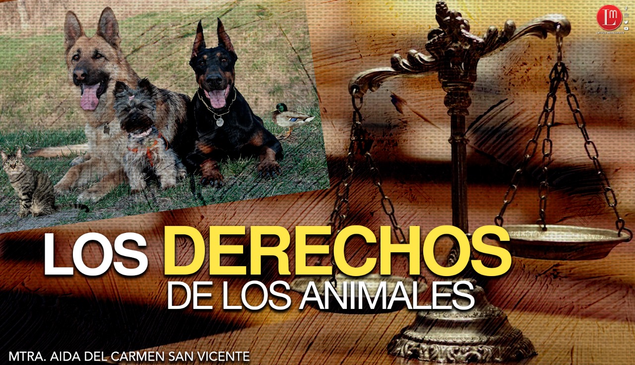 LOS DERECHOS DE LOS ANIMALES