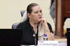 GUADALUPE TADDEI, INSOSTENIBLE EN EL INE