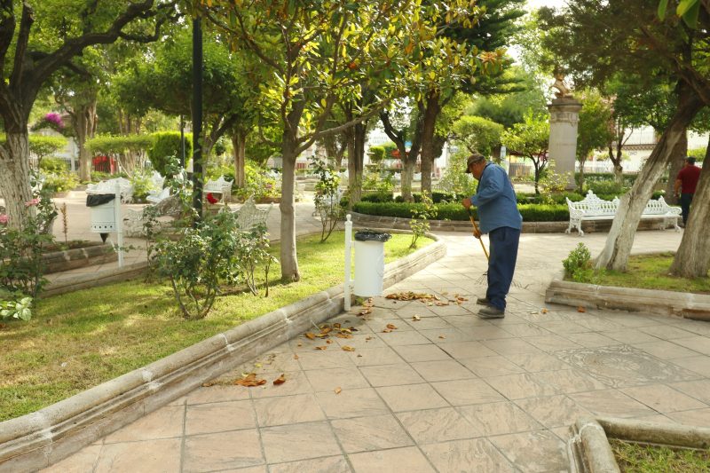 LIMPIEZA EN ÁREAS VERDES DE JEREZ