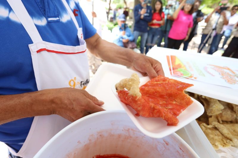 PROGRAMA PARA EL  FESTIVAL DE LA TOSTADA 2024