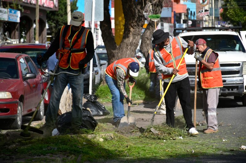 TRABAJOS DE LIMPIEZA EN CALLES Y AVENIDAS DE GUADALUPE