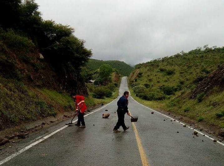 LIMPIAN CARRETERA A LOS CARDOS