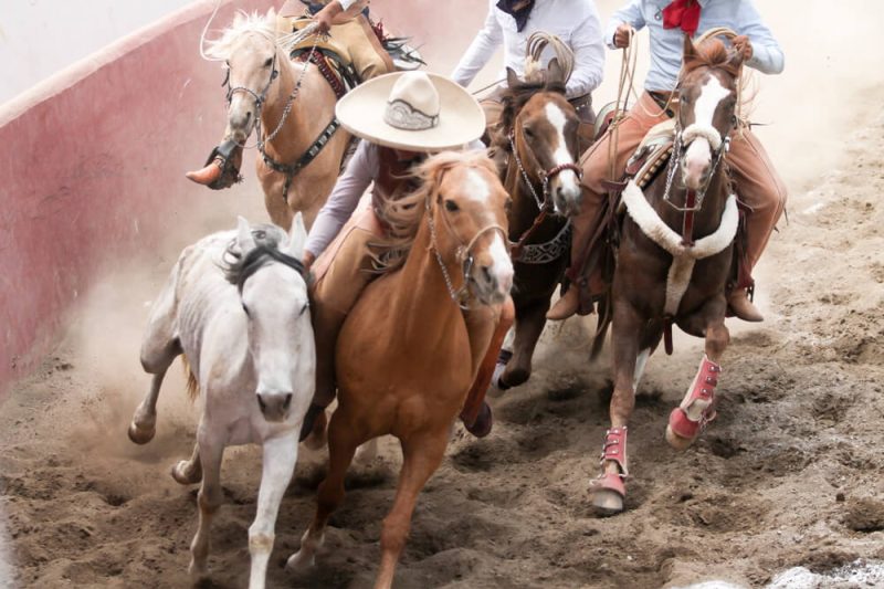 JEREZ, SEDE DEL CAMPEONATO REGIONAL CHARRO 2024