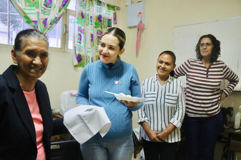 IMPULSA KARLA ESTRADA PROYECTOS PRODUCTIVOS PARA LAS FAMILIAS DE LA COLONIA ALMA OBRERA