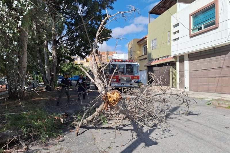 ATIENDE PROTECCIÓN CIVIL DE ZACATECAS AFECTACIONES CAUSADAS POR LA SEGUNDA TORMENTA INVERNAL