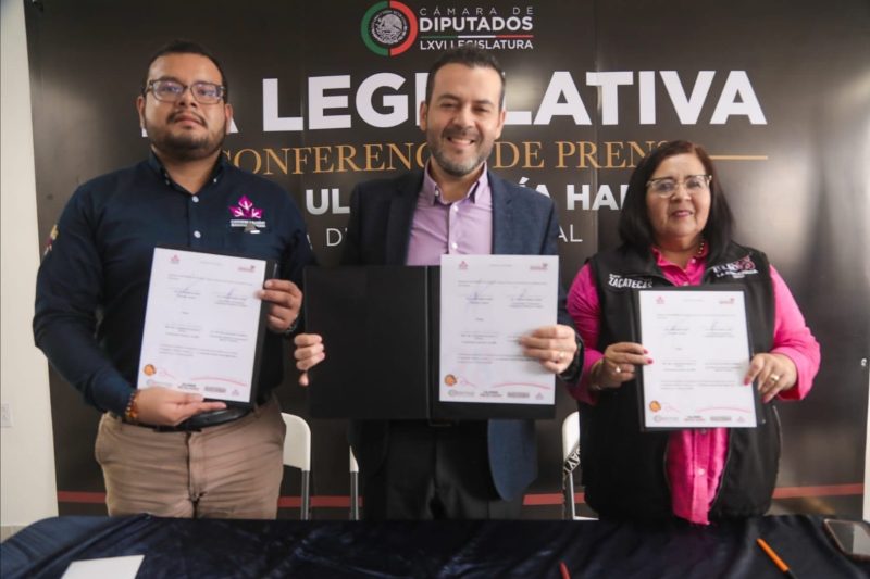 SUBSIDIOS A GRUPOS SOCIALES ORGANIZADOS