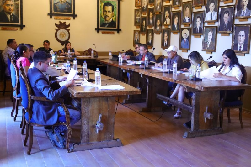 AVANZA DICTAMEN GENERAL DEL REGLAMENTO DE LA ALAMEDA FRANCISCO GARCÍA SALINAS