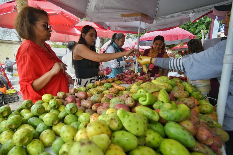 GUADALUPE IMPULSA ECONOMÍA LOCAL
