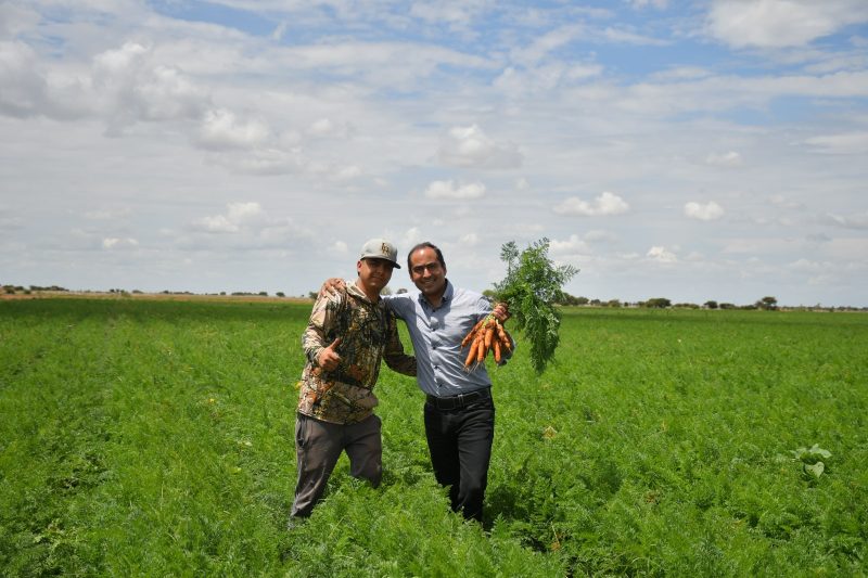 El campo de Guadalupe, Zacatecas aporta a la autosuficiencia alimentaria de México