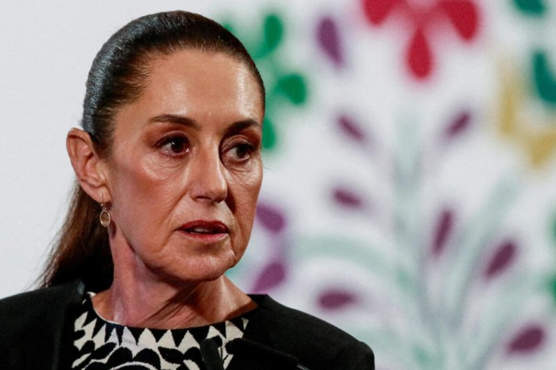 ¿HASTA CUÁNDO PRESIDENTA?