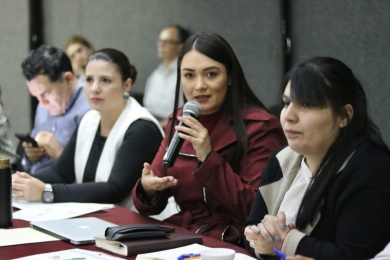 DESTACA RAFAEL FLORES EN EL  GOBIERNO DE DELFINA GÓMEZ