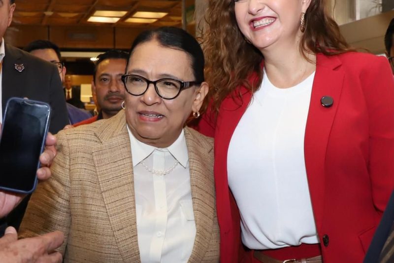 SIN EL PT, MORENA NO SACA  AL PERRO DE LA MILPA