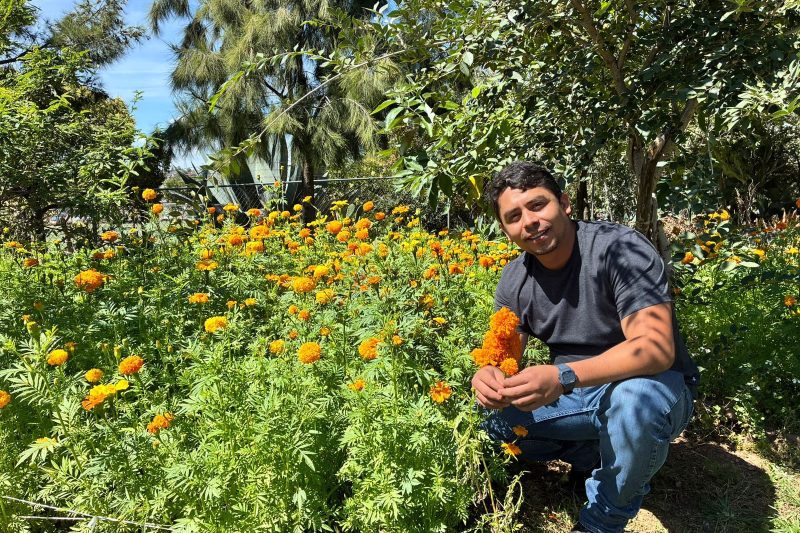 La flor del Día de Muertos florece por primera vez en el vivero de Zacatecas Capital