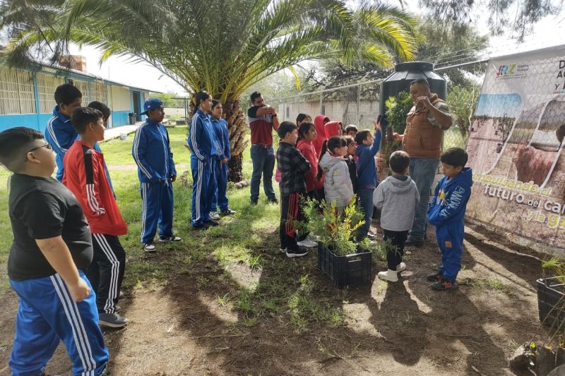 SIEMBRAN 3 MIL ARBOLES EN PROYECTO DE REFORESTACIÓN EN JEREZ