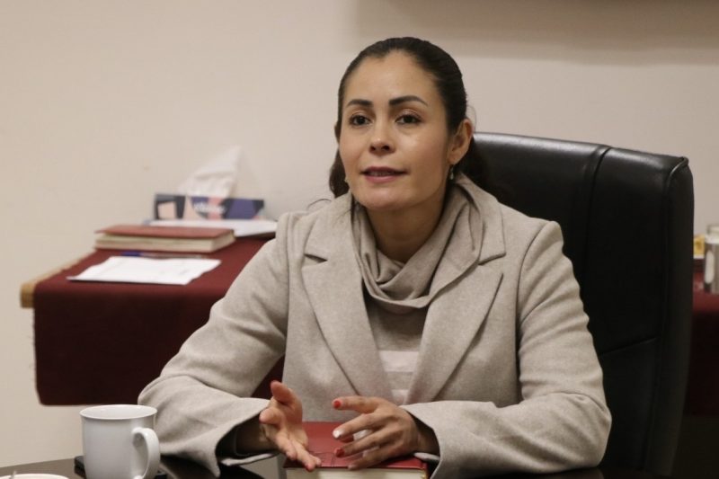 OBSERVADORAS DE LA CDHEZ VIGILARÁN LA MARCHA DEL M8 PARA GARANTIZAR SEGURIDAD A MUJERES