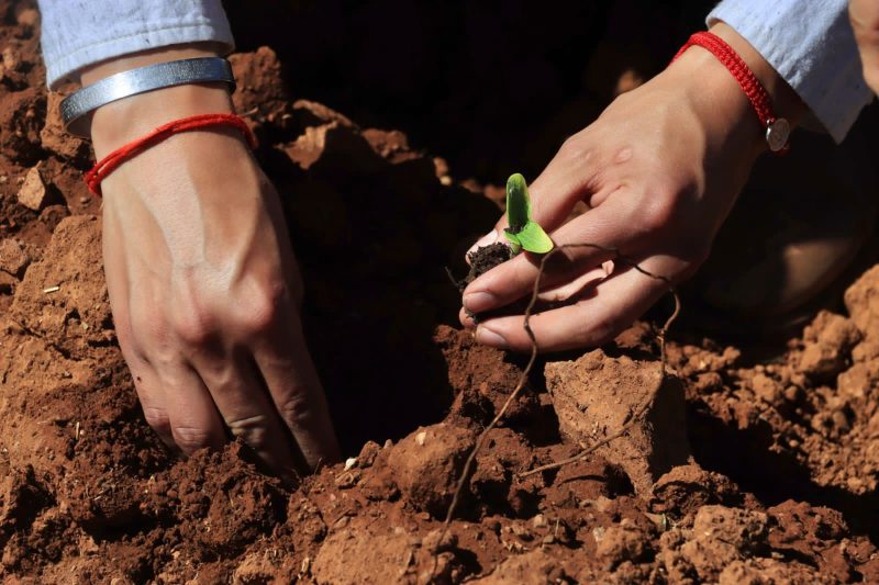 DIF Capital impulsa autoempleo con “Encuentro de saberes y sabores” en Cieneguillas