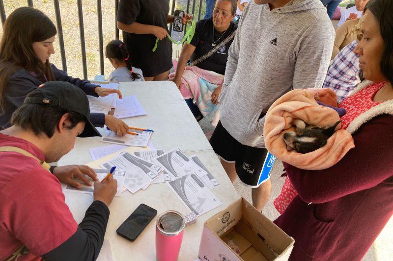 Zacatecas Capital impulsa campaña intermunicipal de esterilización y respalda a municipios del estado
