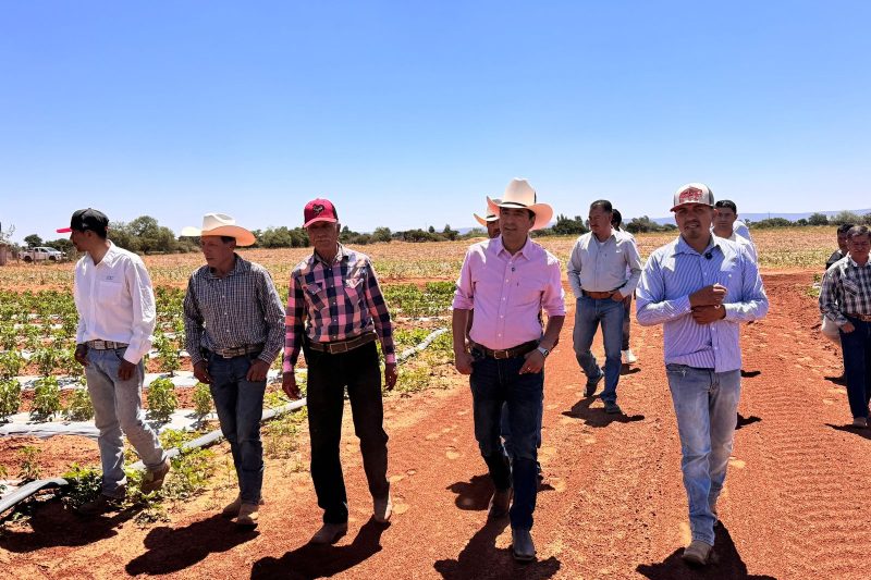 Supervisa Pepe Saldívar en la Cocinera, Guadalupe aplicación de implementos agrícolas entregados por David Monreal