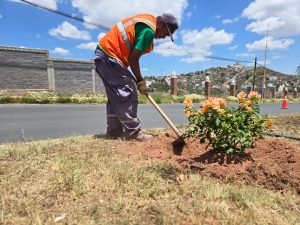 Pepe Saldívar lleva programa de reforestación a Calzada Solidaridad