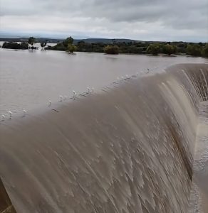 MONITOREO PERMANENTE SOBRE LOS NIVELES DE AGUA EN LA PRESA EL CAZADERO